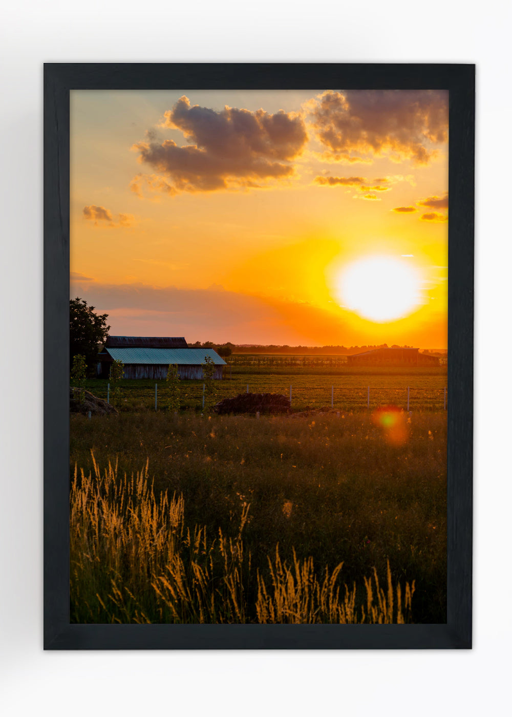 Quadro Paisagens o nascer do sol - Com vidro