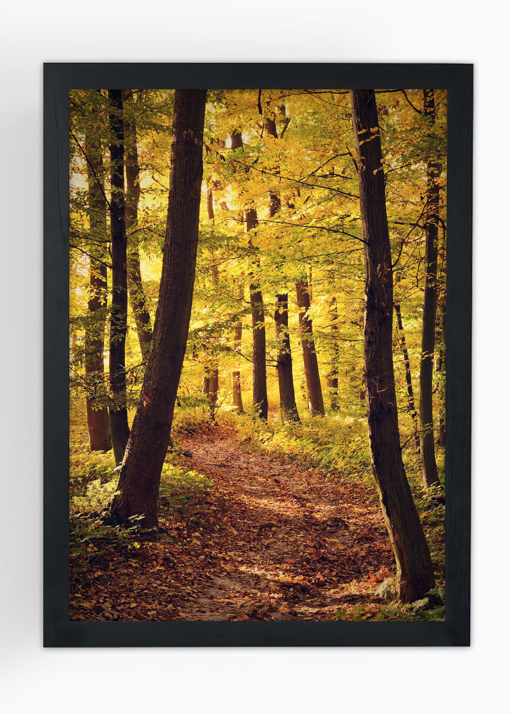 Quadro Decorativo Paisagem florestal - Com vidro