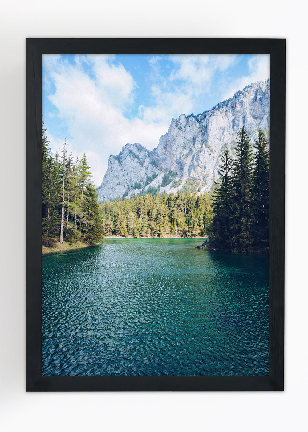 Quadro Decorativo floresta - Com vidro
