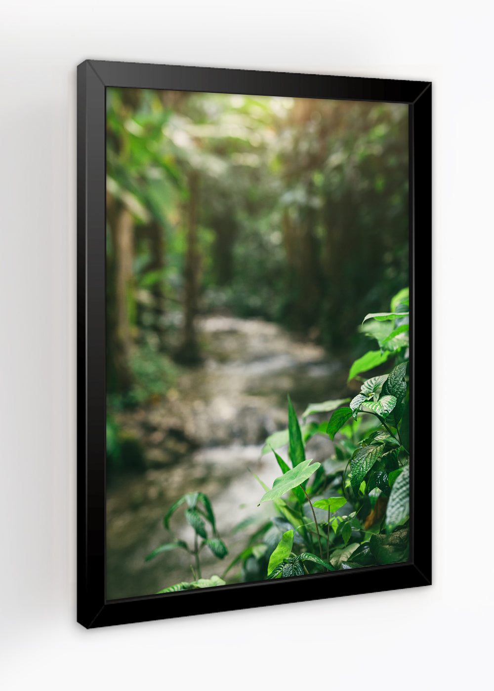 Quadro Decorativo Amazonas - Paisagem - Com vidro