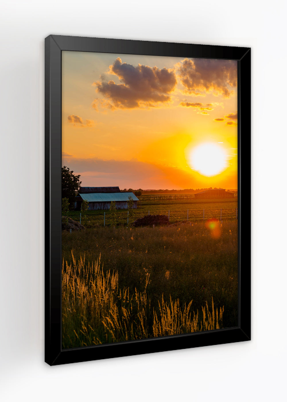 Quadro Paisagens o nascer do sol - Com vidro