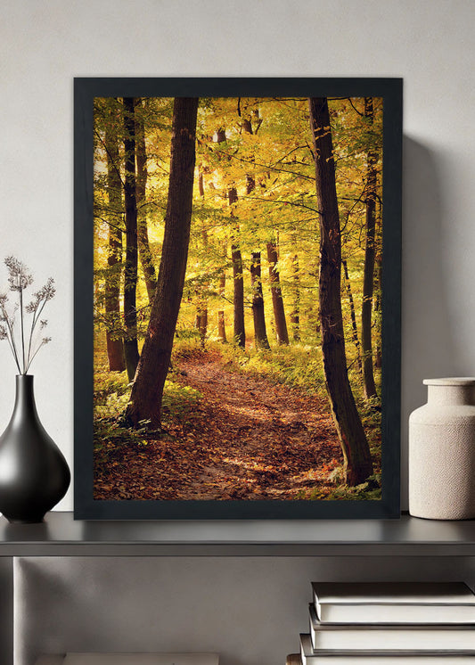Quadro Decorativo Paisagem florestal - Com vidro