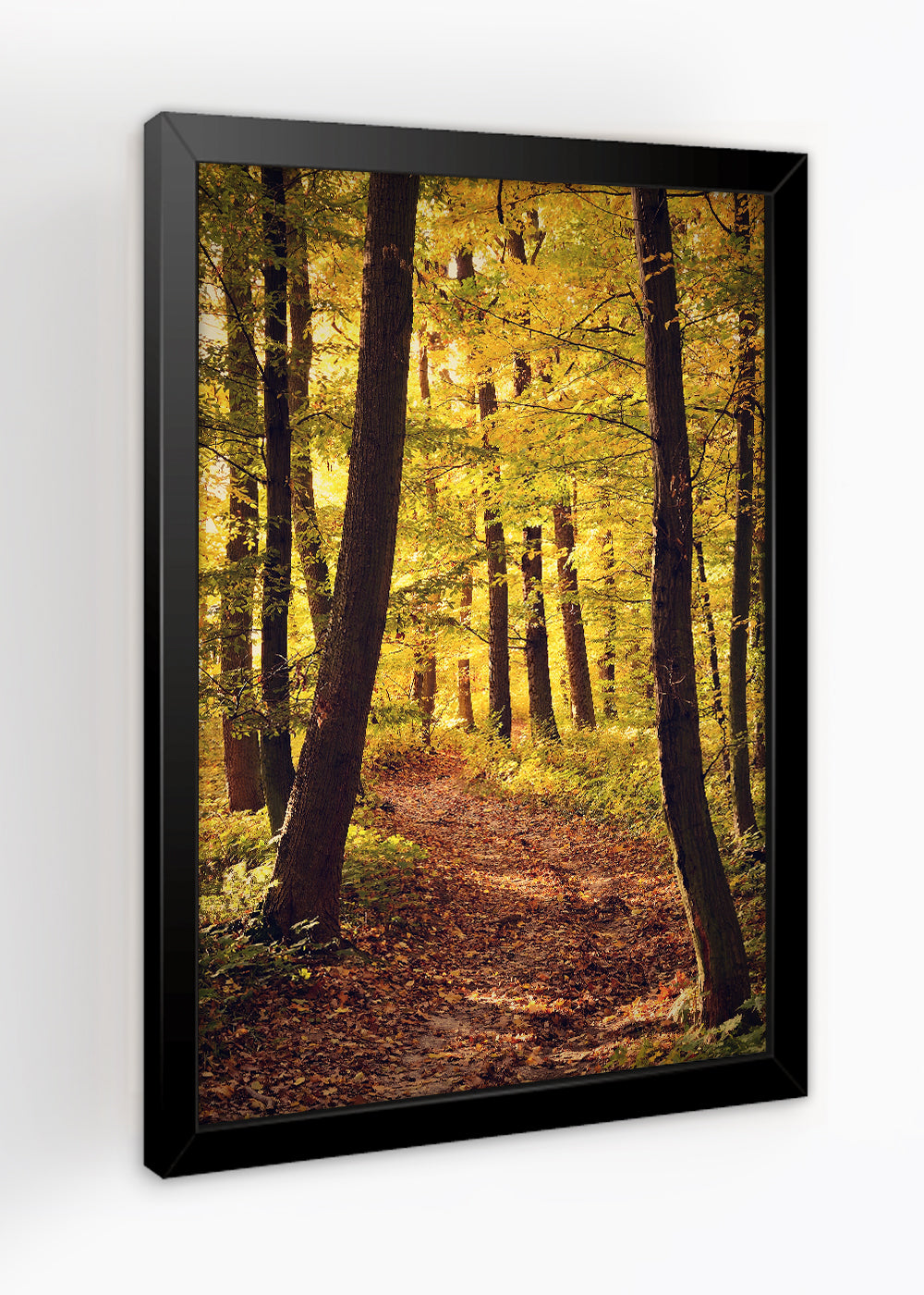 Quadro Decorativo Paisagem florestal - Com vidro