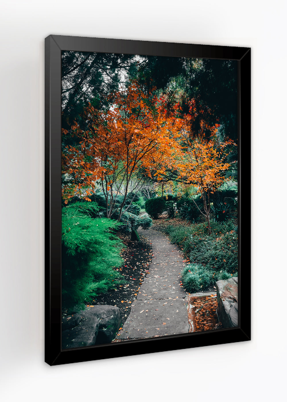 Quadro Decorativo estrada florestal - Com vidro