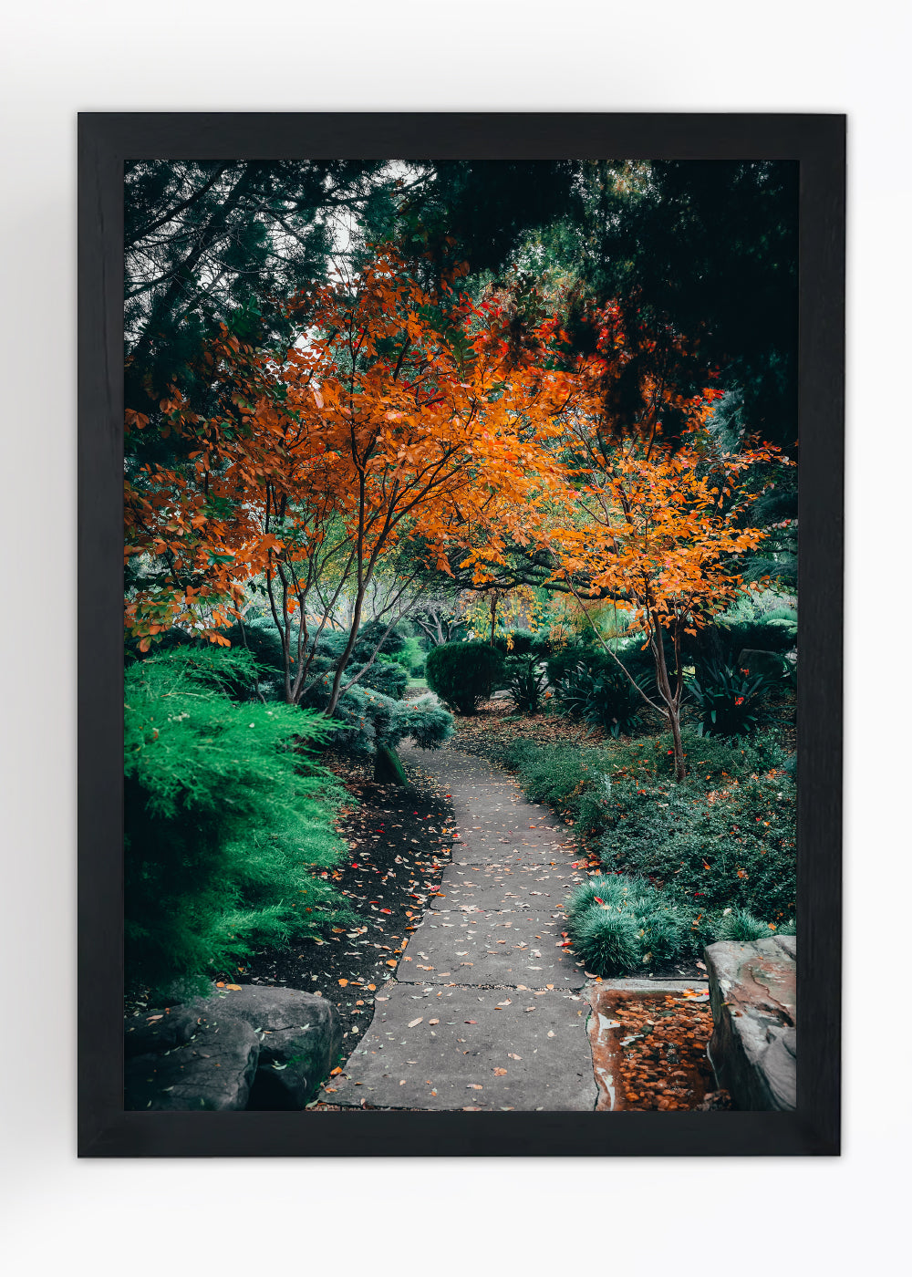 Quadro Decorativo estrada florestal - Com vidro