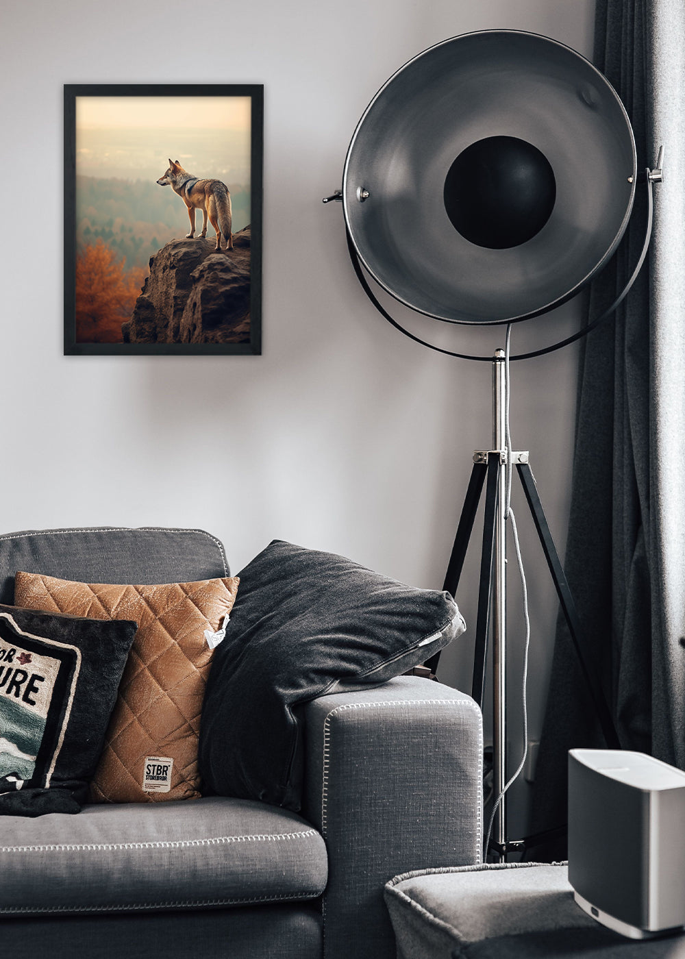 Quadro Decorativo olhar de um alfa - Animais - Com vidro
